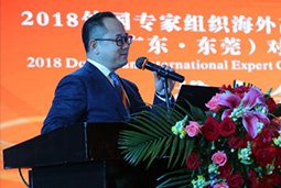 领航国际人力资源公司出席“2018东莞外国专家组织洽谈会”