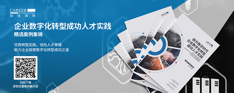 人力资源公司领航国际的《企业数字化转型成功人才实践》案例集