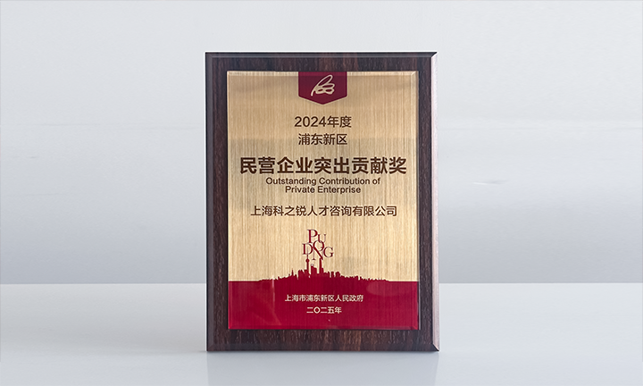 人力资源供应商领航国际凭借人才服务与在区域经济发展中的卓越表现荣膺2024年度浦东新区民营企业奖项