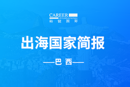 领航GO GLOBAL | 巴西国家简报