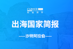 领航GO GLOBAL | 沙特阿拉伯国家简报