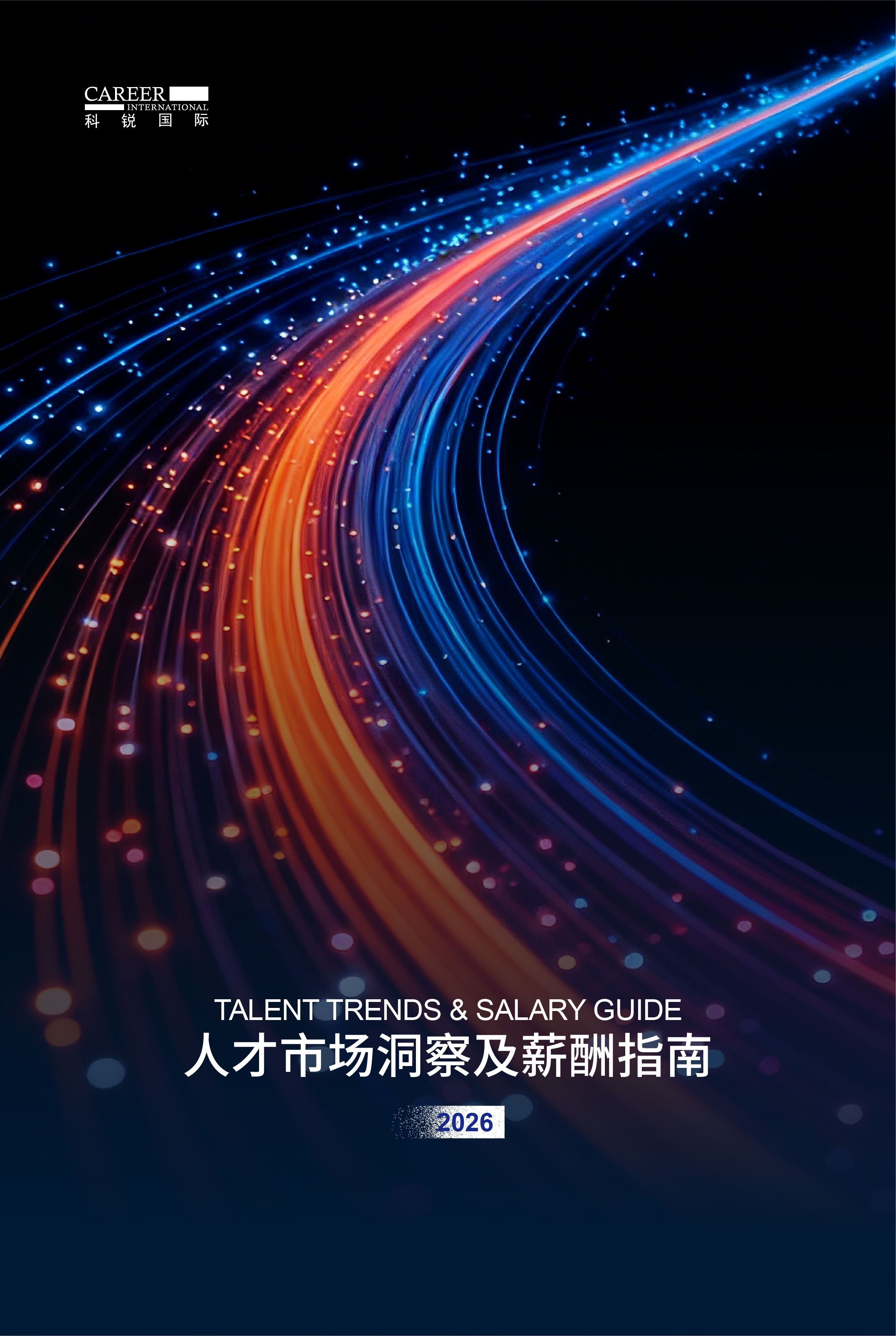 2026领航国际人才市场洞察及薪酬指南